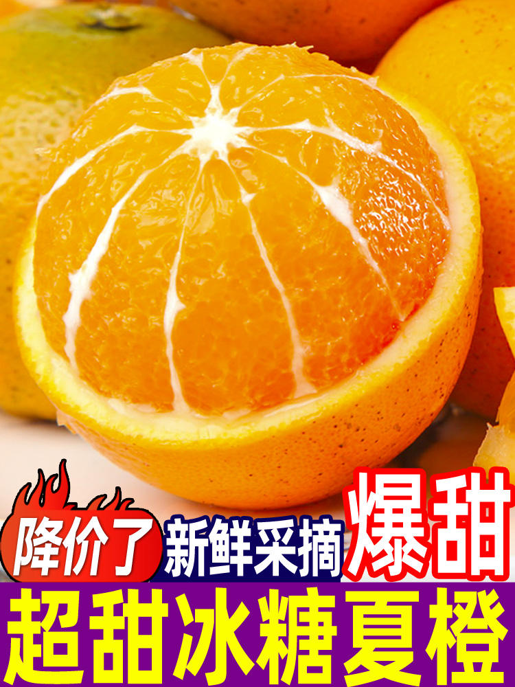 橙子新鲜夏橙新鲜应季水果超甜整箱批发薄皮非果冻橙冰糖橙赣...