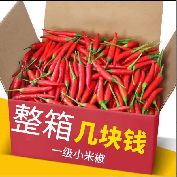 新鲜巨辣小米椒小米辣鲜椒特辣红辣椒朝天椒指天椒泡椒批发包...