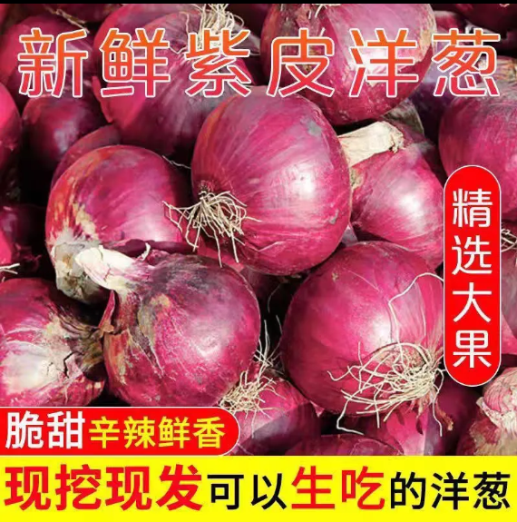 洋葱新鲜紫皮红皮黄皮深紫元葱5斤10斤现挖圆葱头农家1斤...