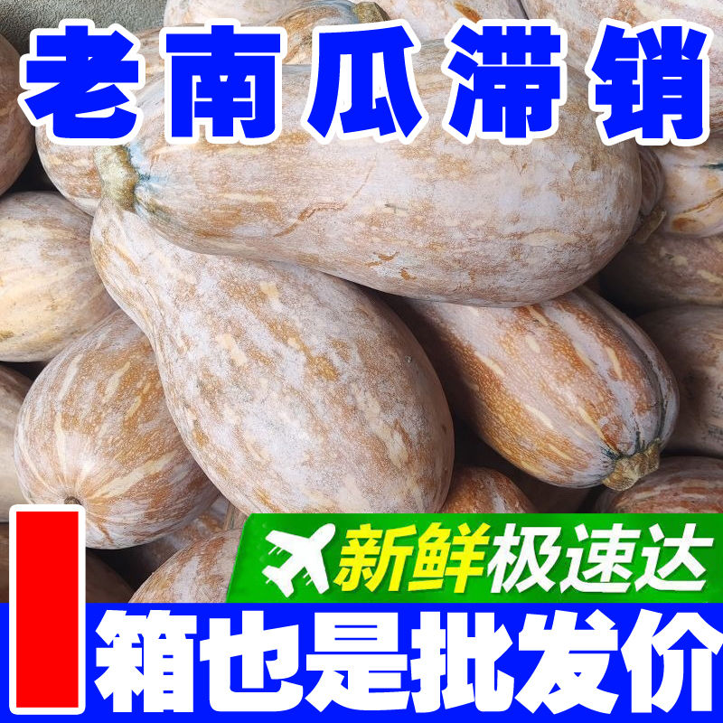 老南瓜密本南瓜新鲜南瓜甜糯超甜宝宝辅食蜜本南瓜板栗味蔬菜...