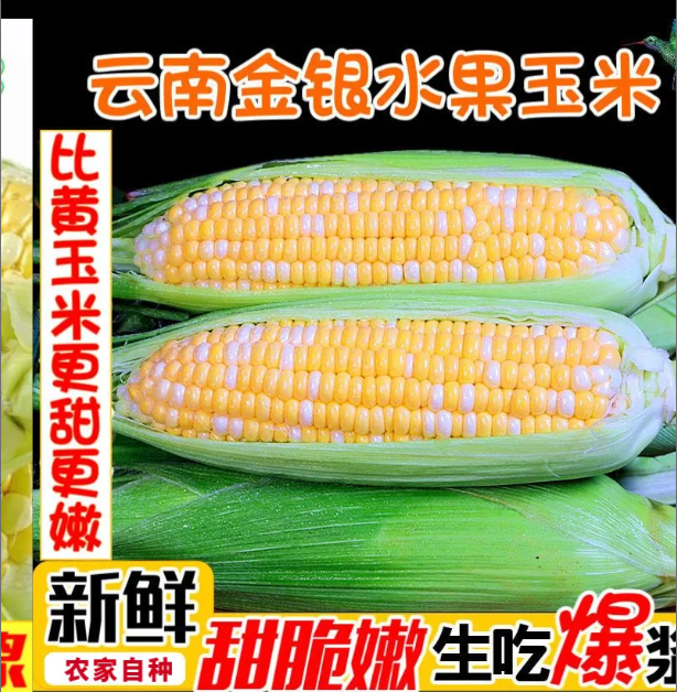 云南水果玉米新鲜甜玉米开袋即食嫩玉米生吃爆浆新鲜玉米礼品...